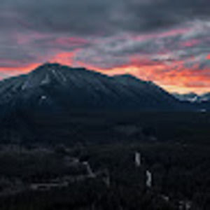 Meet your Posher, Owen